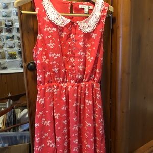 Cute dress with crochet collar